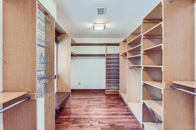 spacious closet featuring dark wood-type flooring