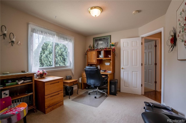 office area featuring light colored carpet
