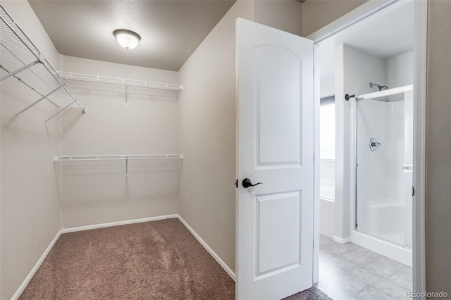 spacious closet featuring carpet floors