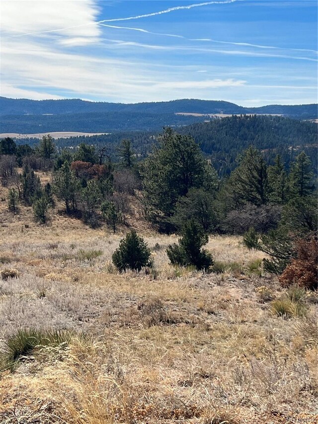 L35 Autumn Creek Dr, Canon City, CO 81212