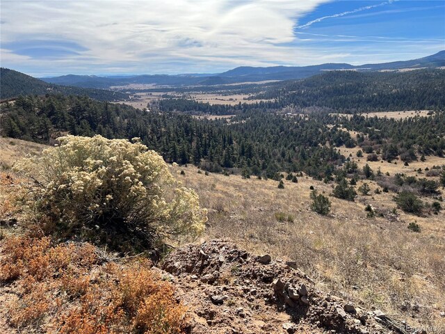 L35 Autumn Creek Dr, Canon City, CO 81212