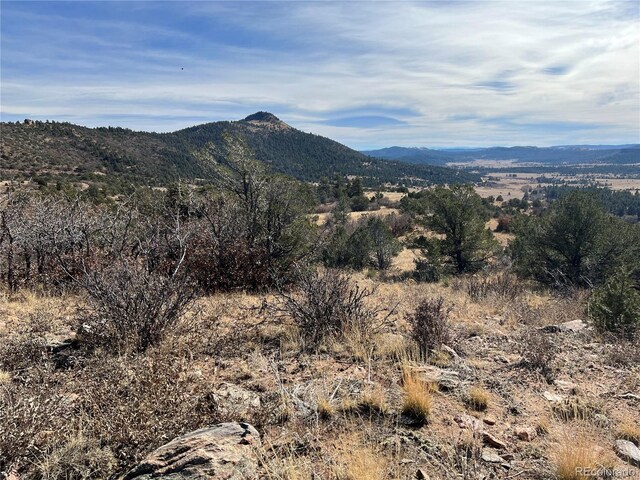 L35 Autumn Creek Dr, Canon City, CO 81212