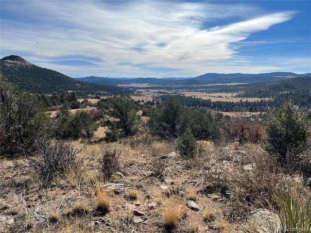 L35 Autumn Creek Dr, Canon City, CO 81212