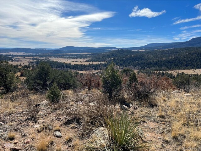 L35 Autumn Creek Dr, Canon City, CO 81212