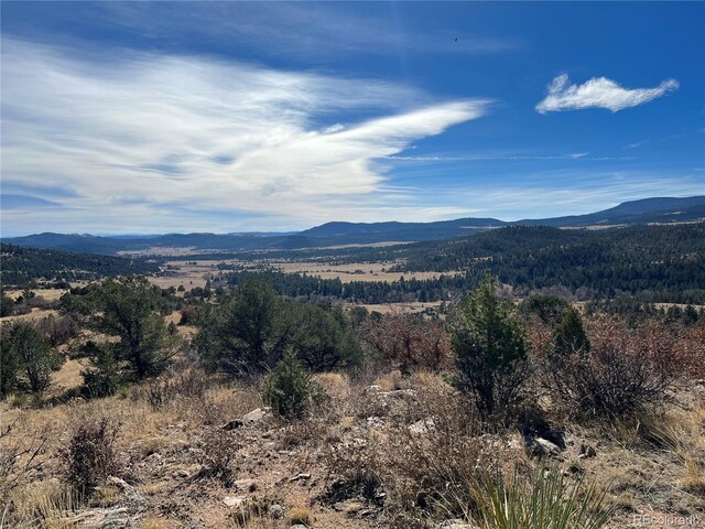 L35 Autumn Creek Dr, Canon City, CO 81212