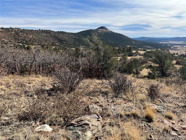 L35 Autumn Creek Dr, Canon City, CO 81212