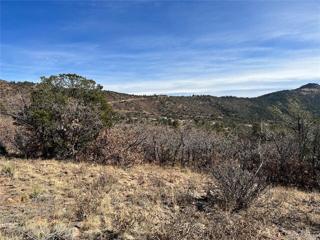 L35 Autumn Creek Dr, Canon City, CO 81212