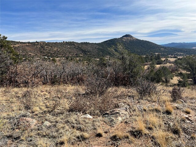 L35 Autumn Creek Dr, Canon City, CO 81212