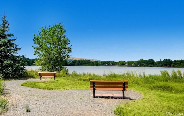 view of community with a water view