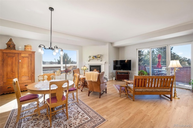 dining room with a chandelier, a lit fireplace, and light wood-type flooring