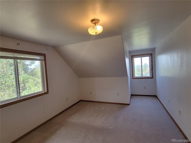 additional living space featuring a textured ceiling, lofted ceiling, baseboards, and light carpet
