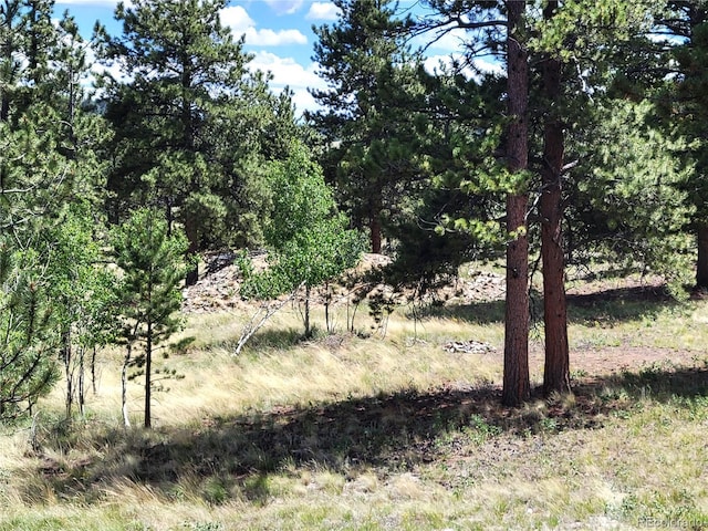 view of landscape