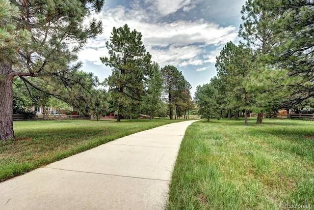 5314 S Harlan Way, Littleton, CO 80123 - photo 36
