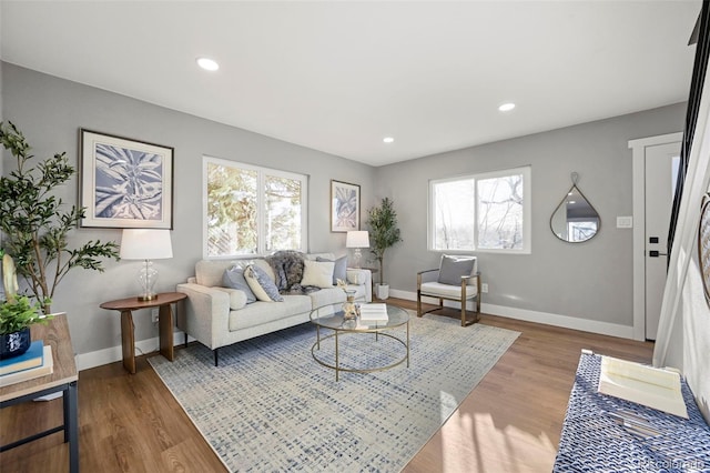 living room with baseboards, wood finished floors, and a healthy amount of sunlight