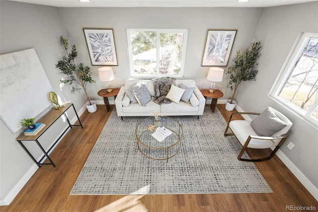 living room featuring baseboards and wood finished floors