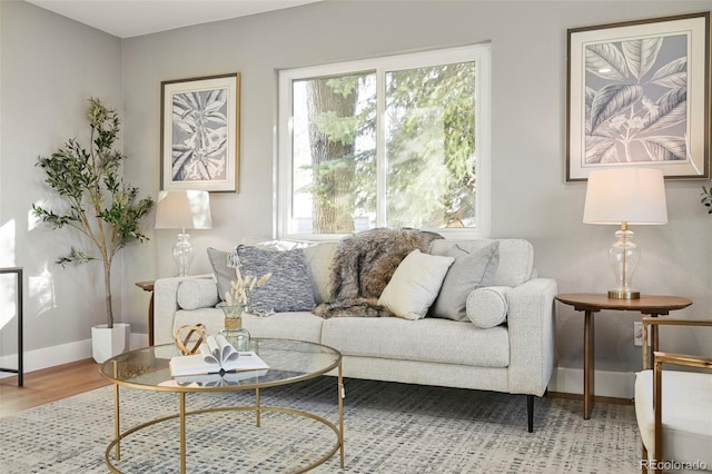 living room featuring baseboards and wood finished floors