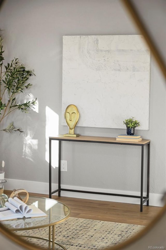 interior details featuring baseboards and wood finished floors