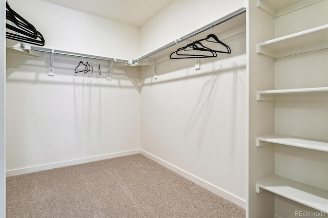 spacious closet with carpet flooring