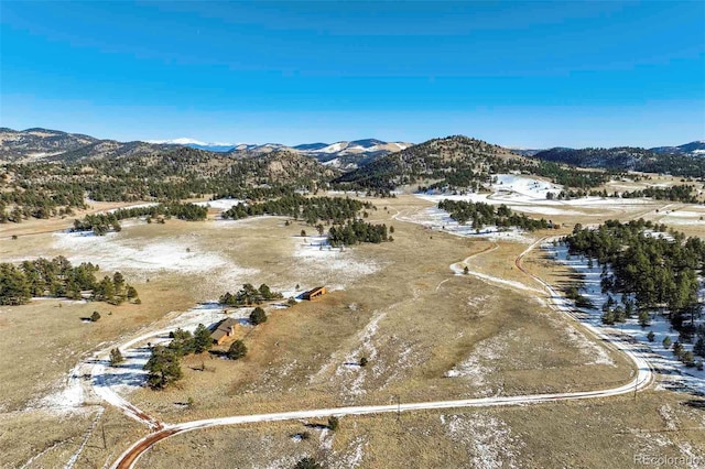 birds eye view of property with a mountain view