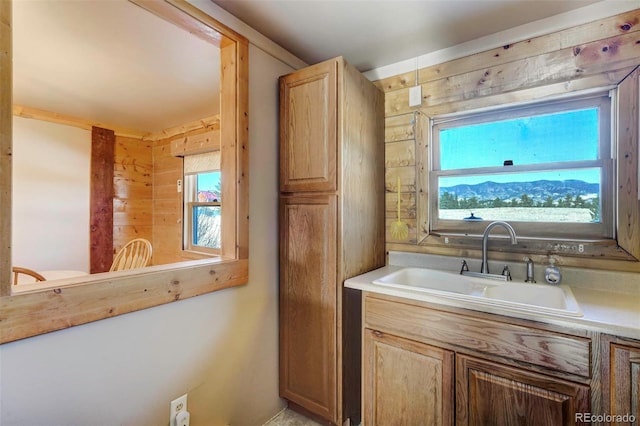 bathroom with vanity and a healthy amount of sunlight