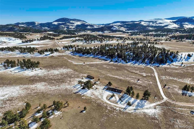 birds eye view of property with a mountain view