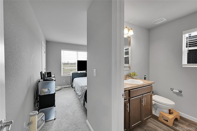 847 Great Plains Ave, Berthoud, CO 80513 - ensuite bathroom with vanity and wood finished floors