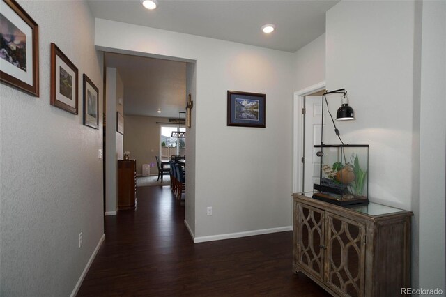 635 Silver Rock Trl, Castle Rock, CO 80104 - photo 21