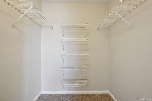 5726 N Genoa Way Unit 301, Aurora, CO 80019 - walk in closet with carpet floors