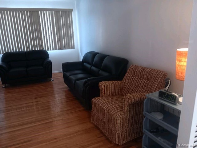 living room featuring wood-type flooring