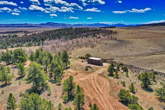 birds eye view of property featuring a mountain view