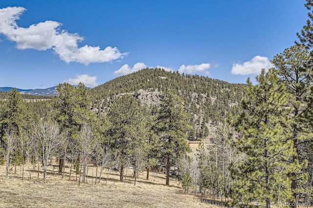 property view of mountains featuring a forest view