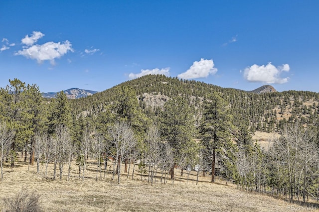 property view of mountains with a view of trees