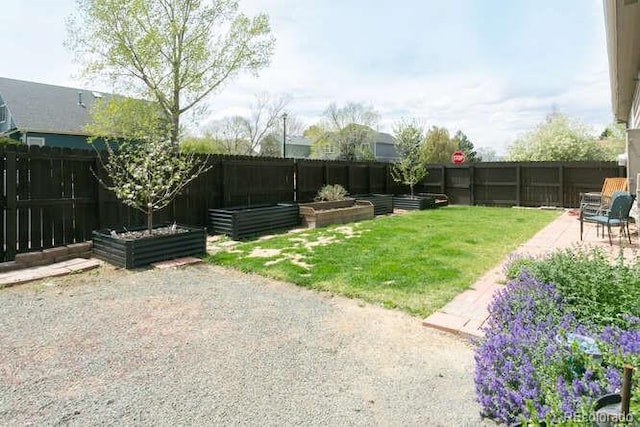 9768 Otis Dr, Westminster, CO 80021 - view of yard featuring a fenced backyard, a garden, and a patio area