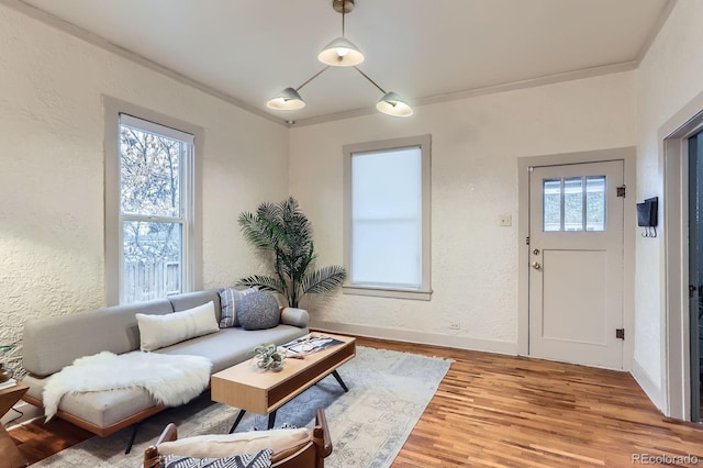 living area featuring ornamental molding, a healthy amount of sunlight, a textured wall, and light wood finished floors