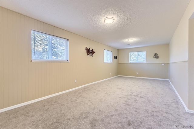 carpeted empty room with a healthy amount of sunlight and a textured ceiling