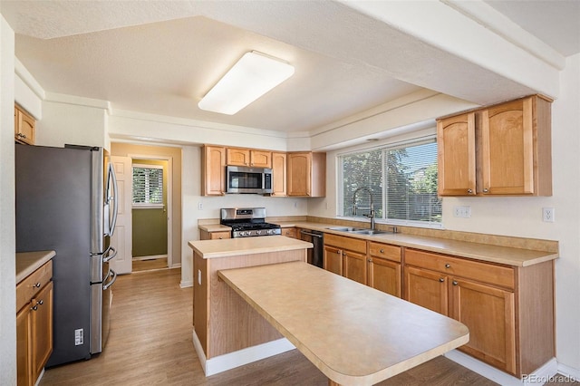 kitchen featuring sink, plenty of natural light, light wood-type flooring, and appliances with stainless steel finishes