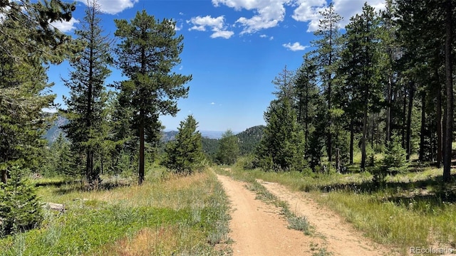 93 Gross Dam Rd, Golden, CO 80403 - photo 5