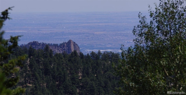 93 Gross Dam Rd, Golden, CO 80403 - photo 6