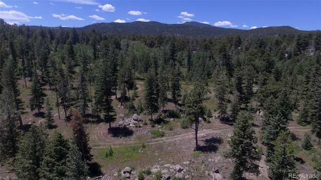 93 Gross Dam Rd, Golden, CO 80403 - photo 7