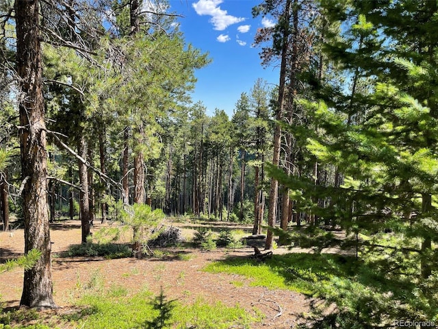 93 Gross Dam Rd, Golden, CO 80403 - photo 8