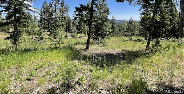 93 Gross Dam Rd, Golden, CO 80403 - photo 10