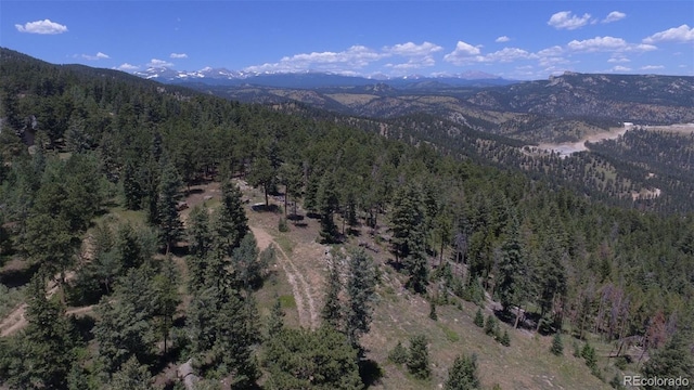 93 Gross Dam Rd, Golden, CO 80403 - photo 12