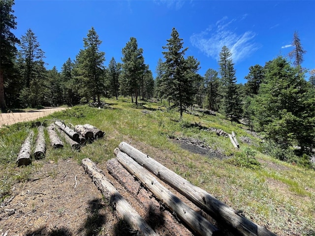 93 Gross Dam Rd, Golden, CO 80403 - photo 23