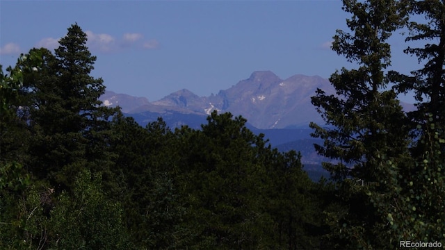93 Gross Dam Rd, Golden, CO 80403 - photo 32