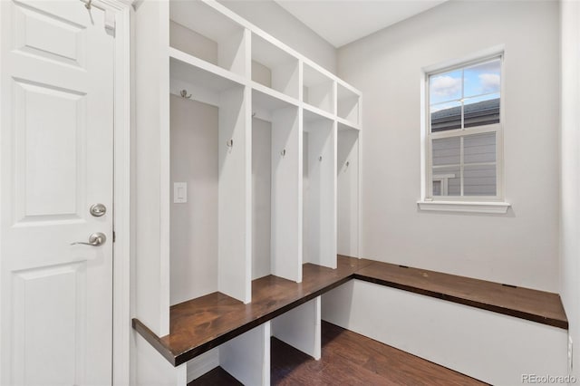 mudroom featuring dark wood-type flooring