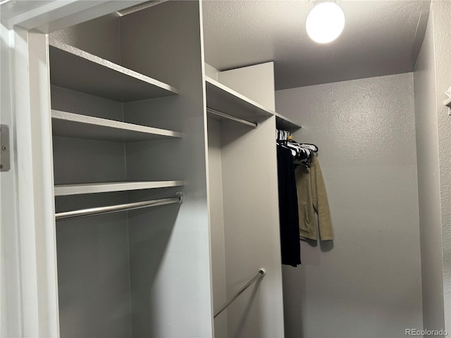 view of walk in closet