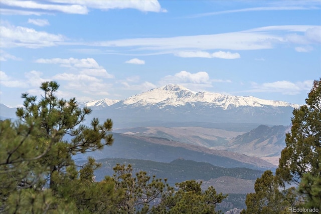 23007 Big Game Trl, Conifer, CO 80433 - view of mountain background