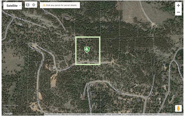 32613 Lodgepole Cir, Evergreen CO, 80439 land for sale