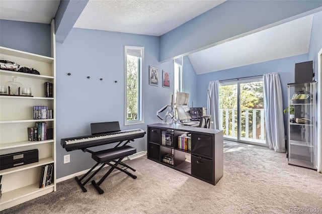 7792 Garrison Ct, Arvada, CO 80005 - home office with carpet flooring, vaulted ceiling, baseboards, and a textured ceiling