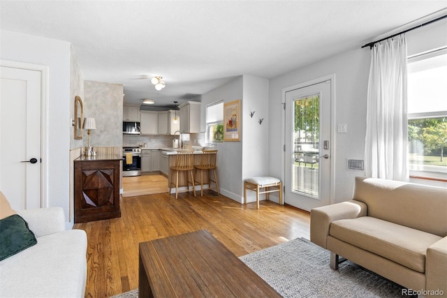 living room with sink, light hardwood / wood-style flooring, and a wealth of natural light